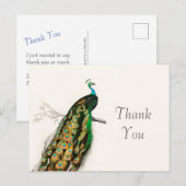 Peacock Dank u  illustratie Briefkaart (Voorkant / Achterkant)