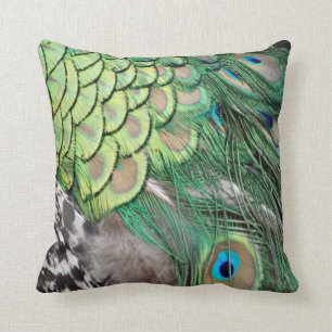 Peacock Delight Kussen