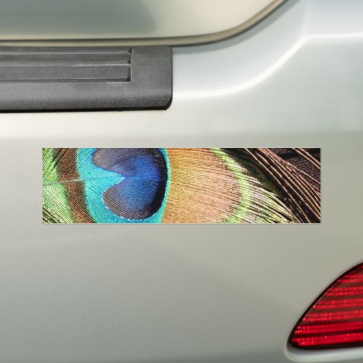 Peacock Design Bumpersticker (Op auto)