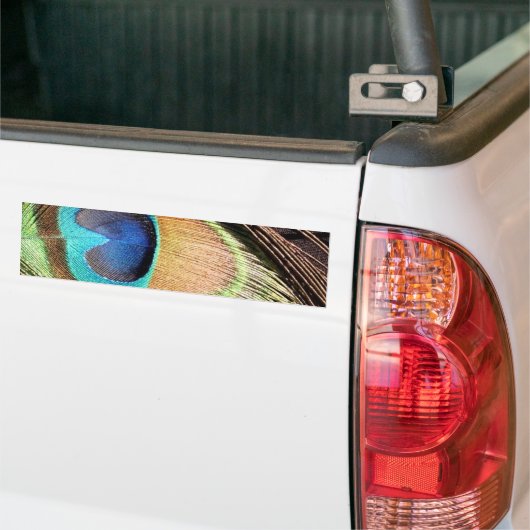 Peacock Design Bumpersticker (Op Truck)