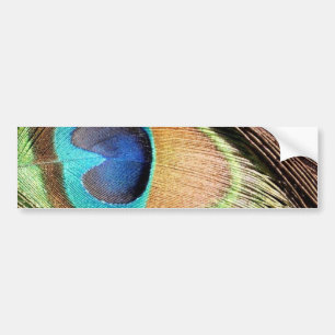 Peacock Design Bumpersticker