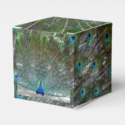 Peacock Design Party Bedankdoosjes (Voorkant Zijde)