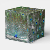 Peacock Design Party Bedankdoosjes (Achterkant)