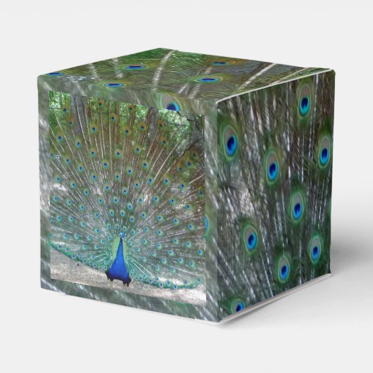 Peacock Design Party Bedankdoosjes (Achterkant)