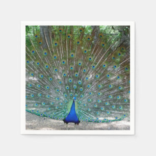 Peacock Design Party Napkins Servet