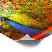 Peacock Digital Art Poster (Hoek)