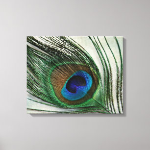 Peacock-doether Canvas Afdruk