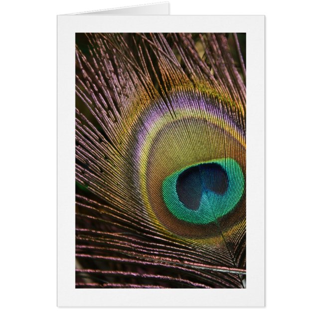 Peacock-doetherblanco kaart (Voorkant)