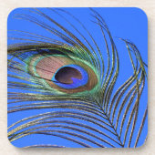 Peacock-doetherfoto Bier Onderzetter (Voorkant)