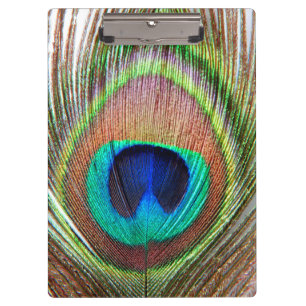 Peacock-doetherklembord Klembord