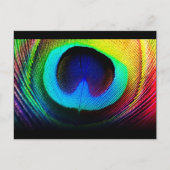 Peacock-doetherontwerp Briefkaart (Voorkant)