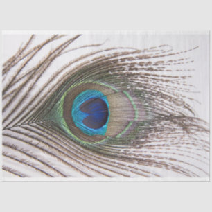 Peacock-doezelaar 3 debetpapier tissuepapier