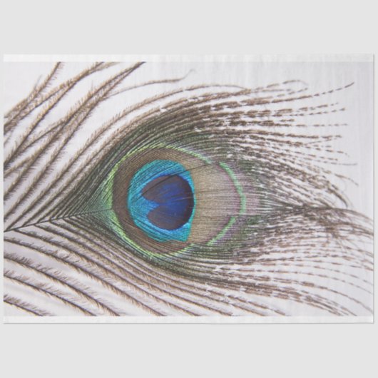 Peacock-doezelaar 3 debetpapier tissuepapier (Voorkant)