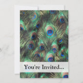 Peacock-doezelachtergrond Kaart (Voorkant)