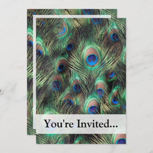 Peacock-doezelachtergrond Kaart (Voorkant / Achterkant)