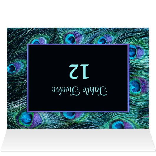 Peacock-doezeldrama - tafelzitplaatsnummer (Binnen Horizontaal (Boven))