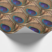 Peacock-doezelverdampingspapier Cadeaupapier (Hoek)