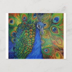 Peacock Drawing Briefkaart
