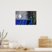 Peacock Dreams van Gregory Gallo Poster (Keuken)