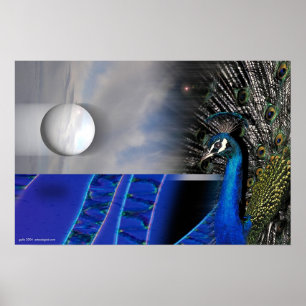 Peacock Dreams van Gregory Gallo Poster