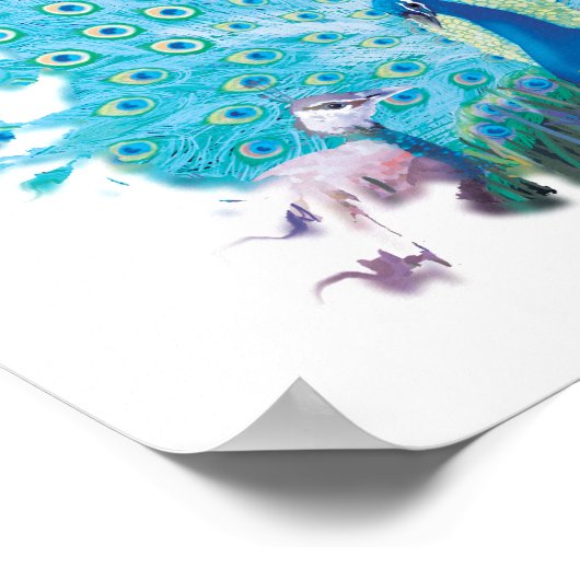 Peacock-eau-de-vie Poster (Hoek)