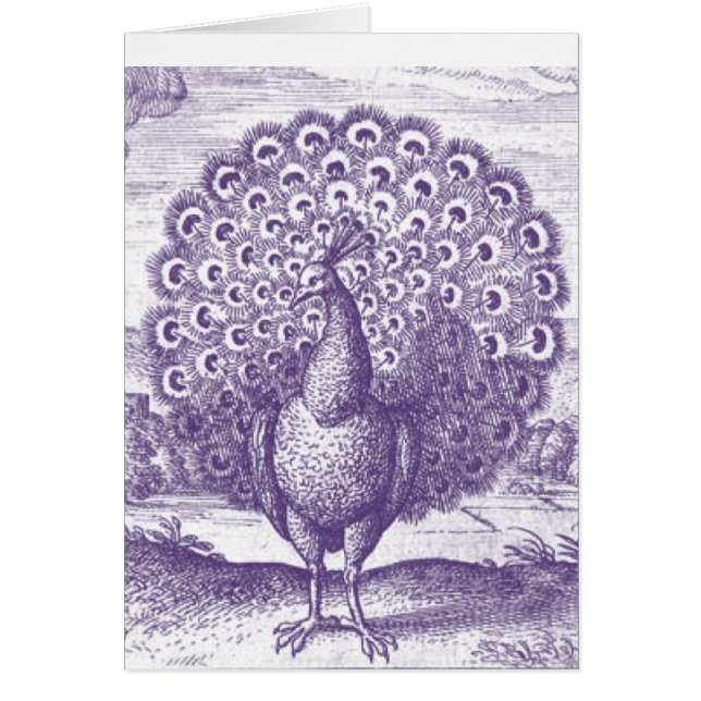Peacock, een  gravure (Voorkant)