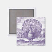 Peacock, een gravure magneet (Voorkant / Achterkant)