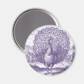 Peacock, een gravure magneet (Voorkant / Achterkant)
