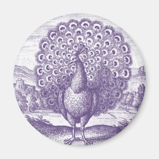 Peacock, een gravure magneet (Voorkant)