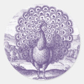 Peacock, een  gravure ronde sticker (Voorkant)
