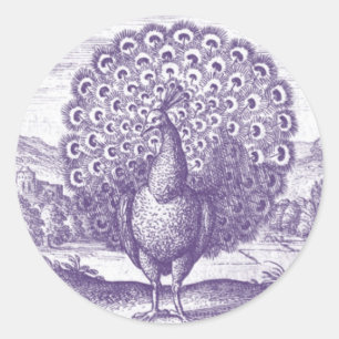 Peacock, een  gravure ronde sticker
