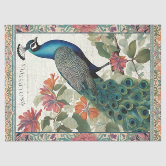 Peacock Elegant Botanische Ephemera Roze Decoupage Tissuepapier (Voorkant)