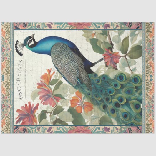 Peacock Elegant Botanische Ephemera Roze Decoupage Tissuepapier (Voorkant)