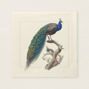 Peacock Elegant Natural History Paper Napkins Servet