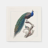 Peacock Elegant Natuurhistorisch Papieren servette Servet (Voorkant)