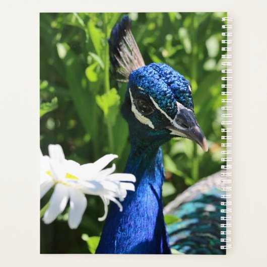 Peacock en Daisy Planner (Achterkant)