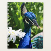Peacock en Daisy Planner (Voorkant)