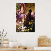 Peacock en Doves in een tuin Poster (Keuken)