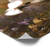 Peacock en duiven in een tuin poster (Hoek)