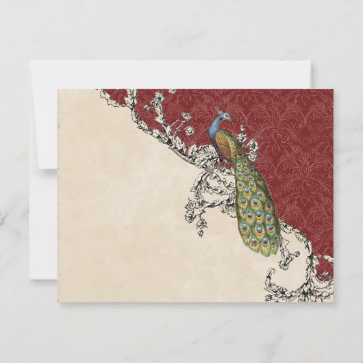 Peacock- en Etchings-RSVP-kaart RSVP Kaartje (Achterkant)