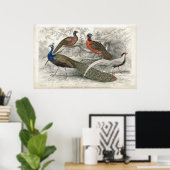 Peacock en fazanten Antiek Lithograafdruk Poster (Thuiskantoor)