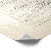 Peacock en fazanten Antiek Lithograafdruk Poster (Hoek)