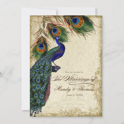 Peacock en Feathers Foral Wedding Tea Sved Kaart (Voorkant)