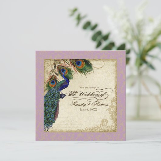 Peacock en Feathers Pleal Wedding Invite Lavender Kaart (Staand voorkant)