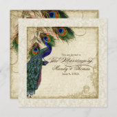 Peacock en forenformule voor het huwelijk nodigen kaart (Voorkant / Achterkant)