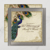 Peacock en forether Plechtige bruiloft Silver Meta Kaart (Voorkant / Achterkant)