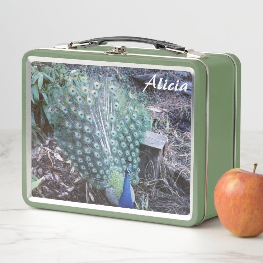 Peacock en Indigo Bunting Metal Lunch Box (In situ)