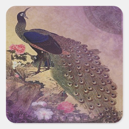  Peacock en Japanse pony's afdrukken Vierkante Sticker (Voorkant)