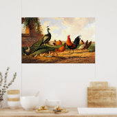 Peacock en kippen poster (Keuken)