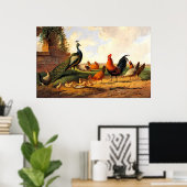 Peacock en kippen poster (Thuiskantoor)